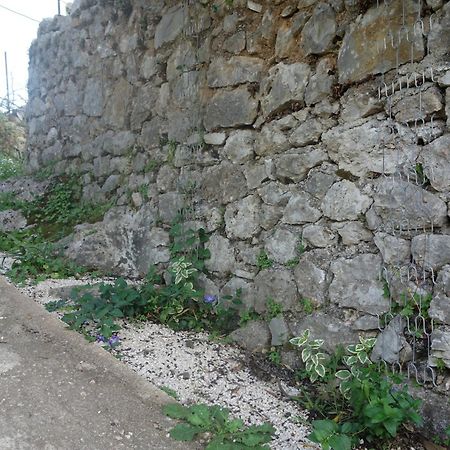Guesthouse Near The Castle Of ヒマラ エクステリア 写真