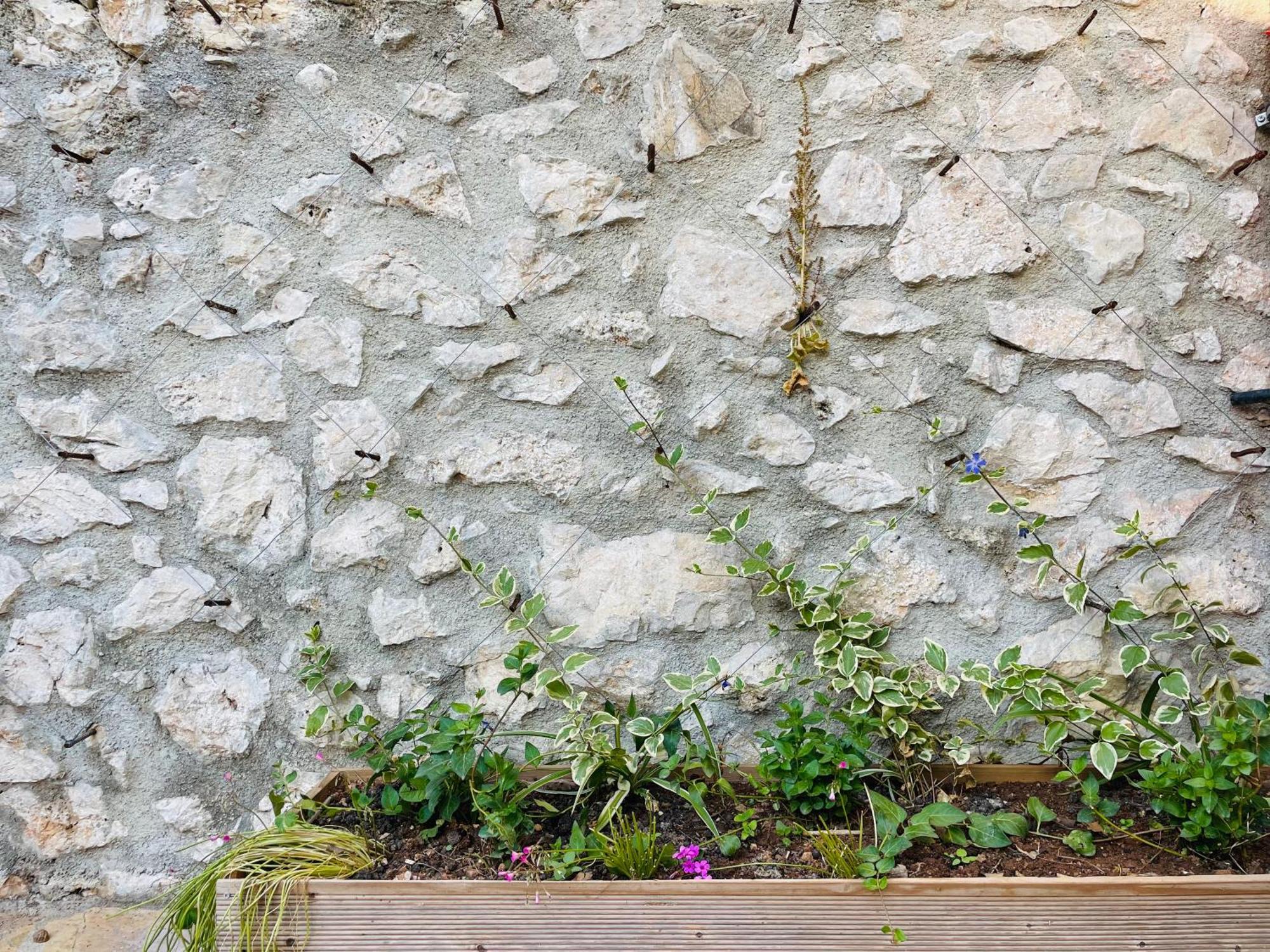 Guesthouse Near The Castle Of ヒマラ エクステリア 写真