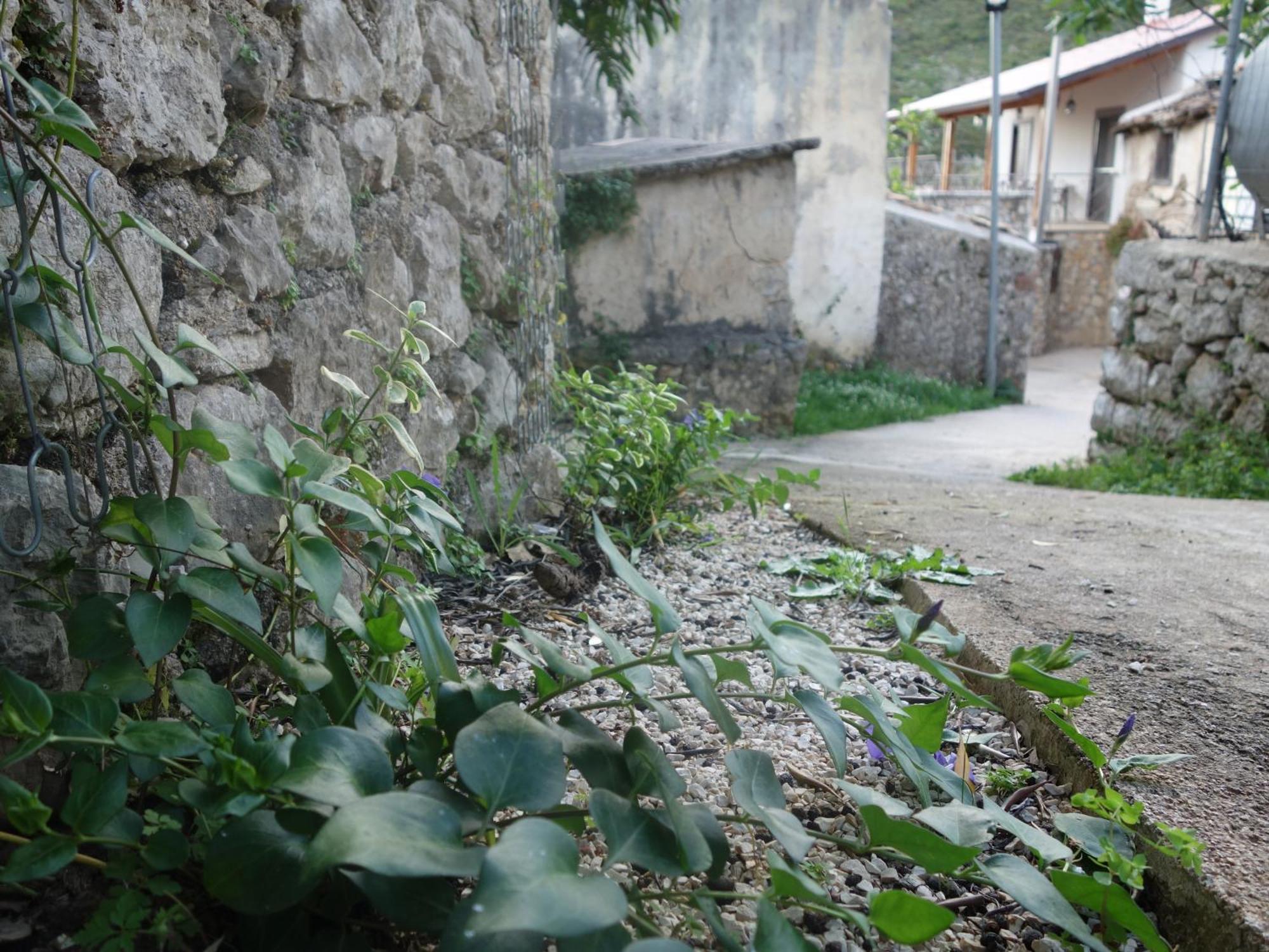 Guesthouse Near The Castle Of ヒマラ エクステリア 写真